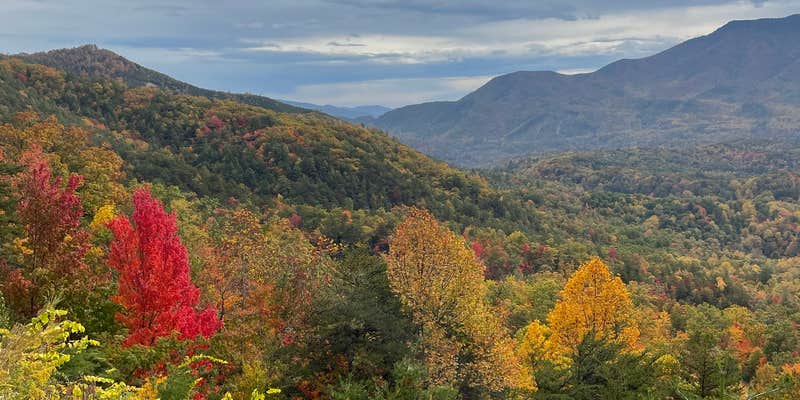 Camper submitted image from Gatlinburg RV Resort