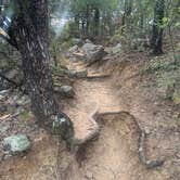 Review photo of Primitive Area — Lake Mineral Wells State Park by Charly S., October 25, 2022