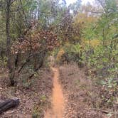 Review photo of Primitive Area — Lake Mineral Wells State Park by Charly S., October 25, 2022