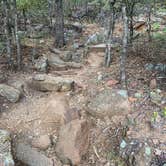 Review photo of Primitive Area — Lake Mineral Wells State Park by Charly S., October 25, 2022