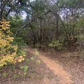 Review photo of Primitive Area — Lake Mineral Wells State Park by Charly S., October 25, 2022