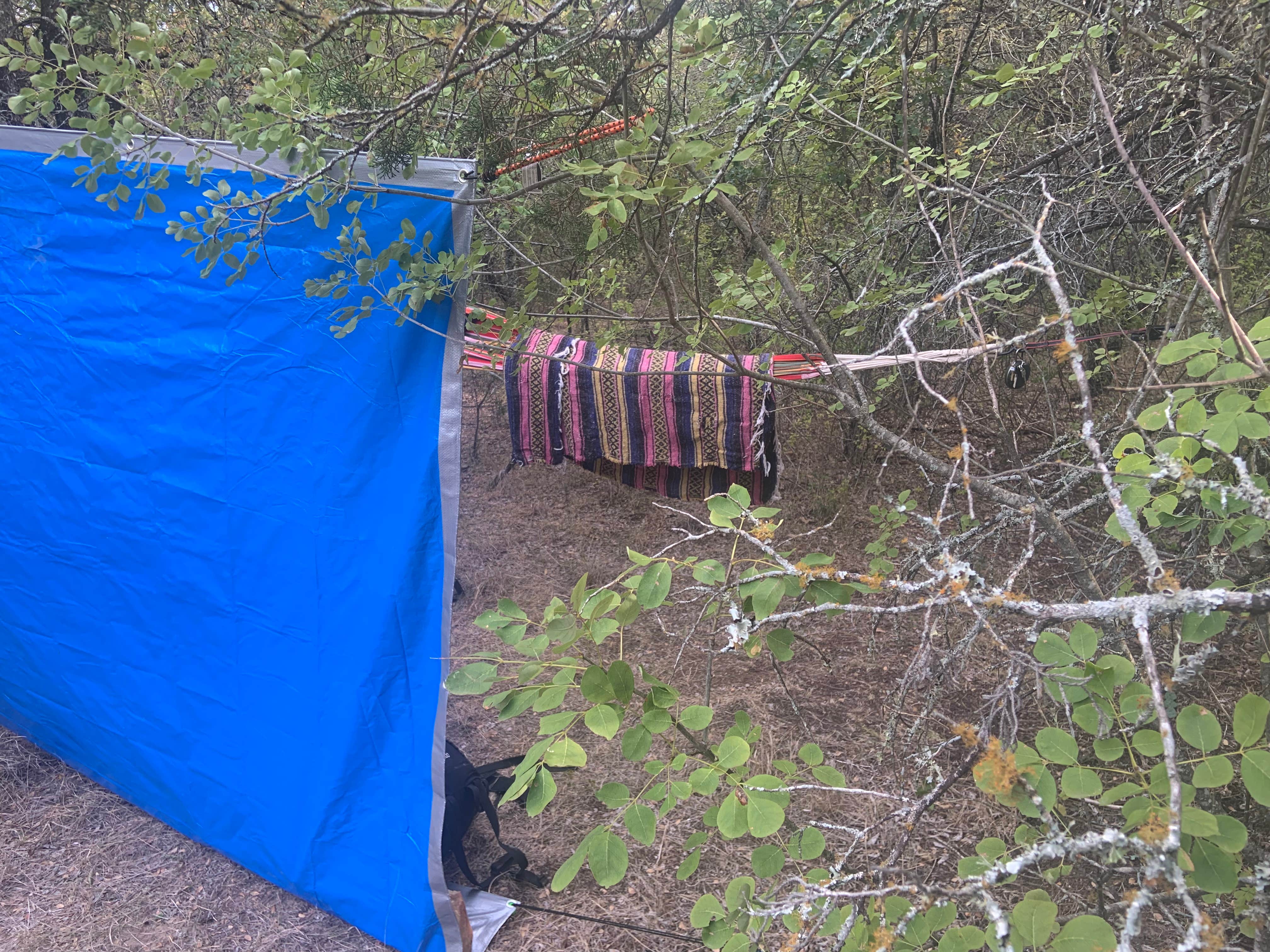 Charly S.'s photo of tent camping at Primitive Area — Lake Mineral Wells State Park near South Bend, TX