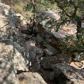 Review photo of Primitive Area — Lake Mineral Wells State Park by Charly S., October 25, 2022