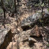 Review photo of Primitive Area — Lake Mineral Wells State Park by Charly S., October 25, 2022