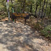 Review photo of Primitive Area — Lake Mineral Wells State Park by Charly S., October 25, 2022