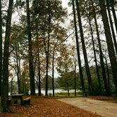 Review photo of Indian Creek Campground by Cat R., October 25, 2022