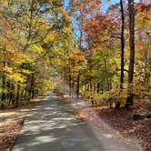 Review photo of Lake Powhatan — National Forests In North Carolina by Rick G., October 25, 2022