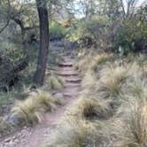 Review photo of Big Bend Backcountry Camping — Big Bend National Park by Charly S., October 25, 2022