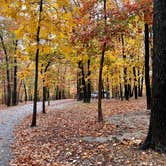 Review photo of COE Beaver Lake Prairie Creek Campground by Luckybreak R., October 25, 2022