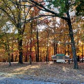 Review photo of COE Beaver Lake Prairie Creek Campground by Luckybreak R., October 25, 2022