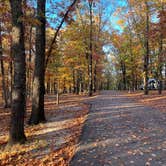 Review photo of COE Beaver Lake Prairie Creek Campground by Luckybreak R., October 25, 2022