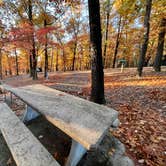 Review photo of COE Beaver Lake Prairie Creek Campground by Luckybreak R., October 25, 2022