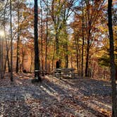 Review photo of COE Beaver Lake Prairie Creek Campground by Luckybreak R., October 25, 2022