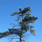 Review photo of Fort Flagler Historical State Park Campground by Jody B., September 11, 2018