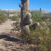 Review photo of Darby Wells Rd BLM Dispersed by Wayne H., October 25, 2022