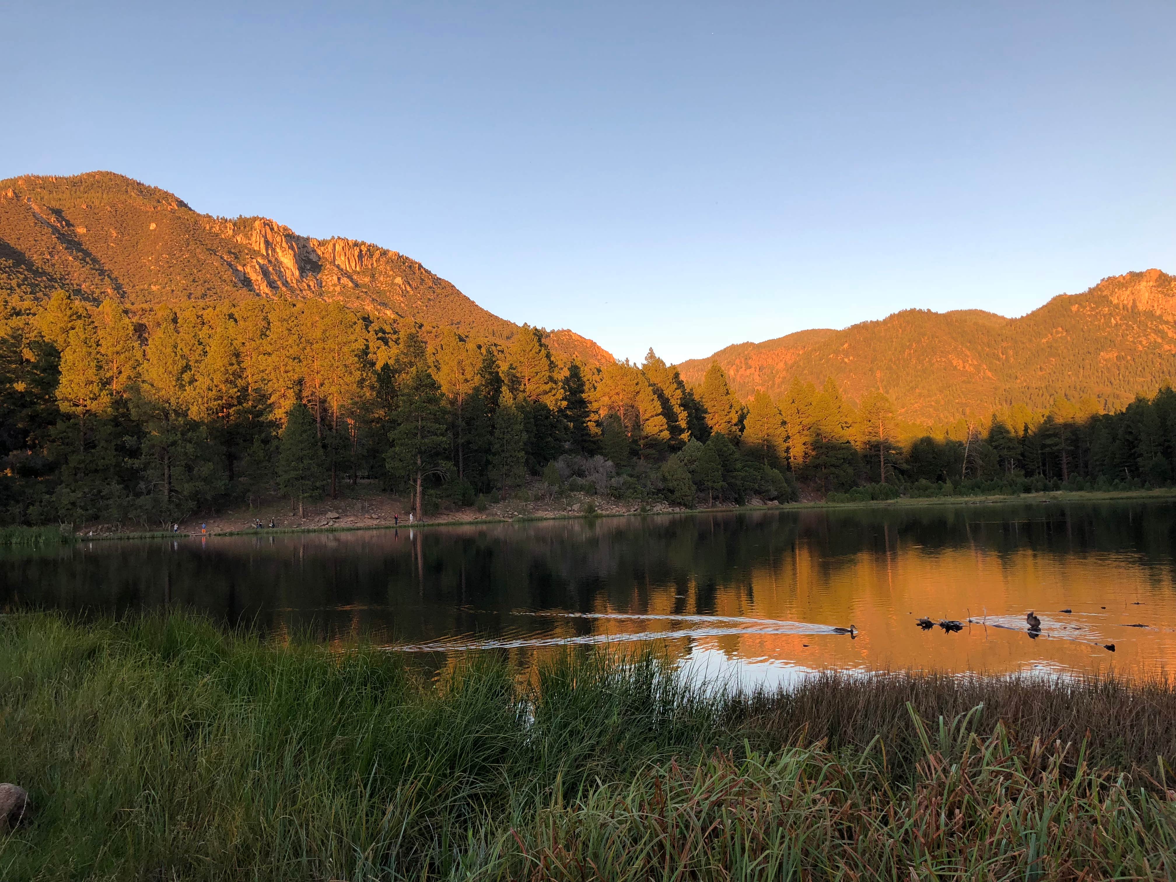 Pine Valley Recreation Area The Dyrt