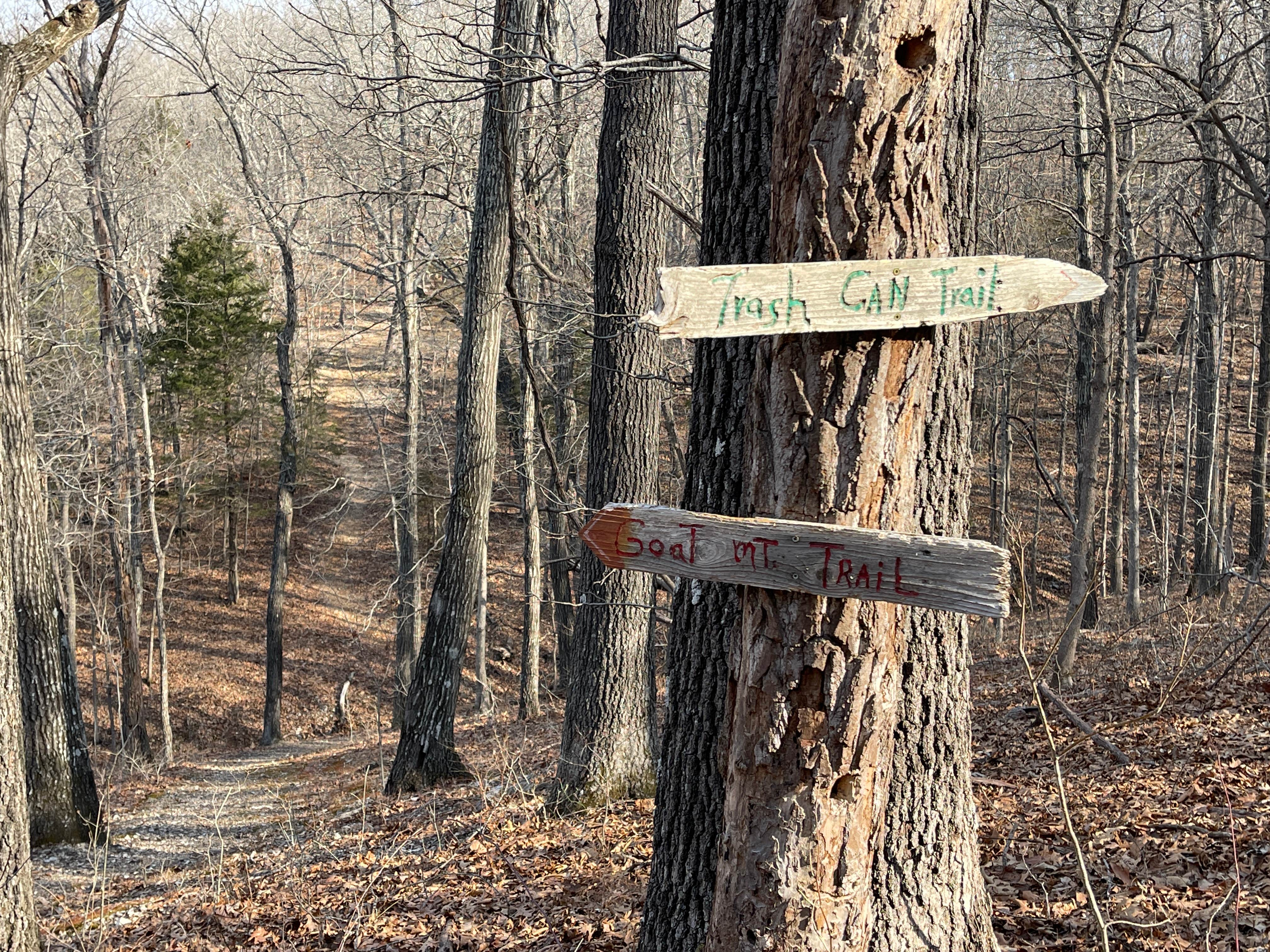 Camper-submitted photo at Branson Treehouse Cabin & RV Park near Springfield, MO