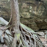 Review photo of Hocking Hills State Park Campground by jeffrey D., October 26, 2022
