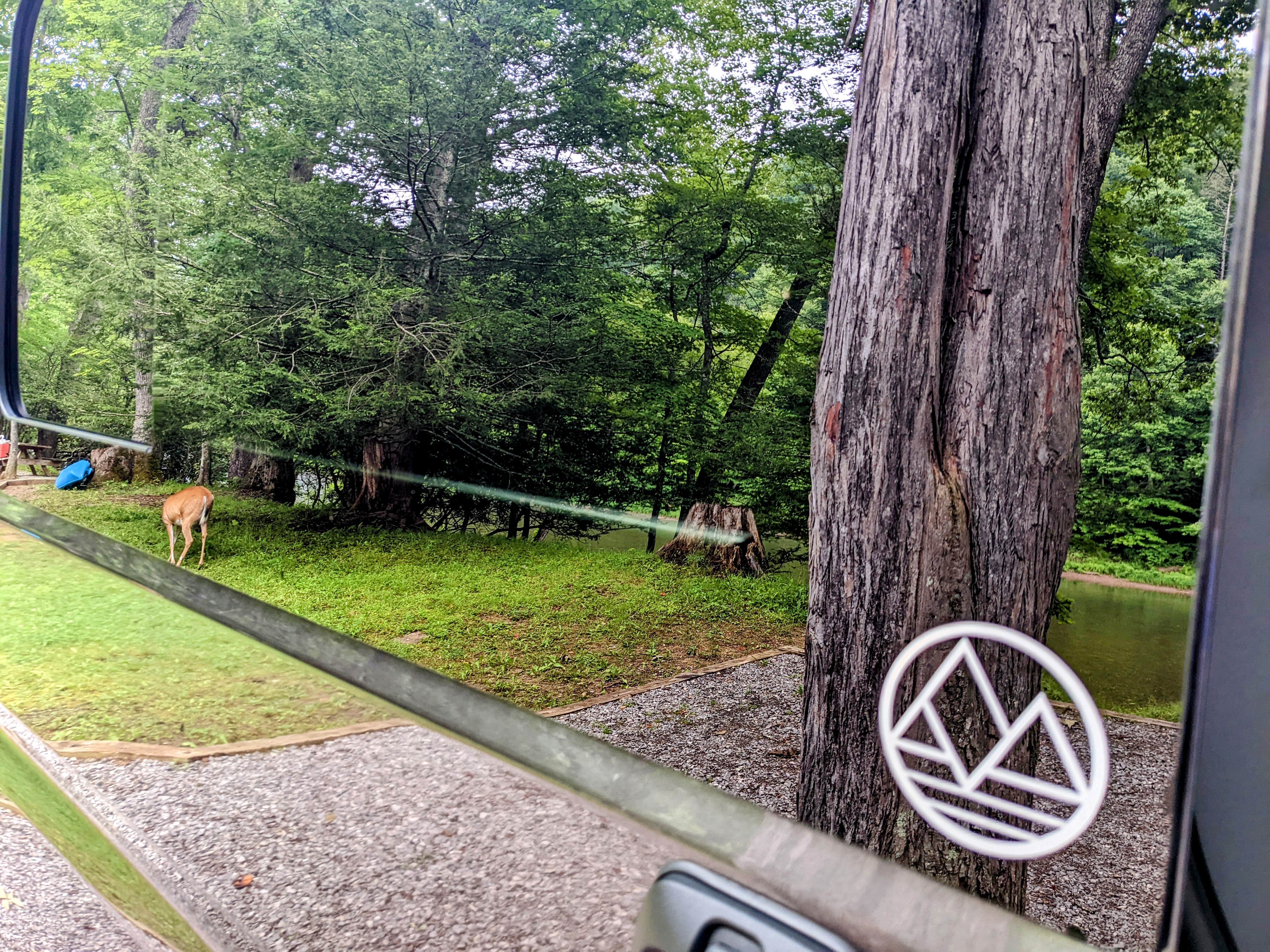Camper submitted image from Riverside Campground — Watoga State Park - 4