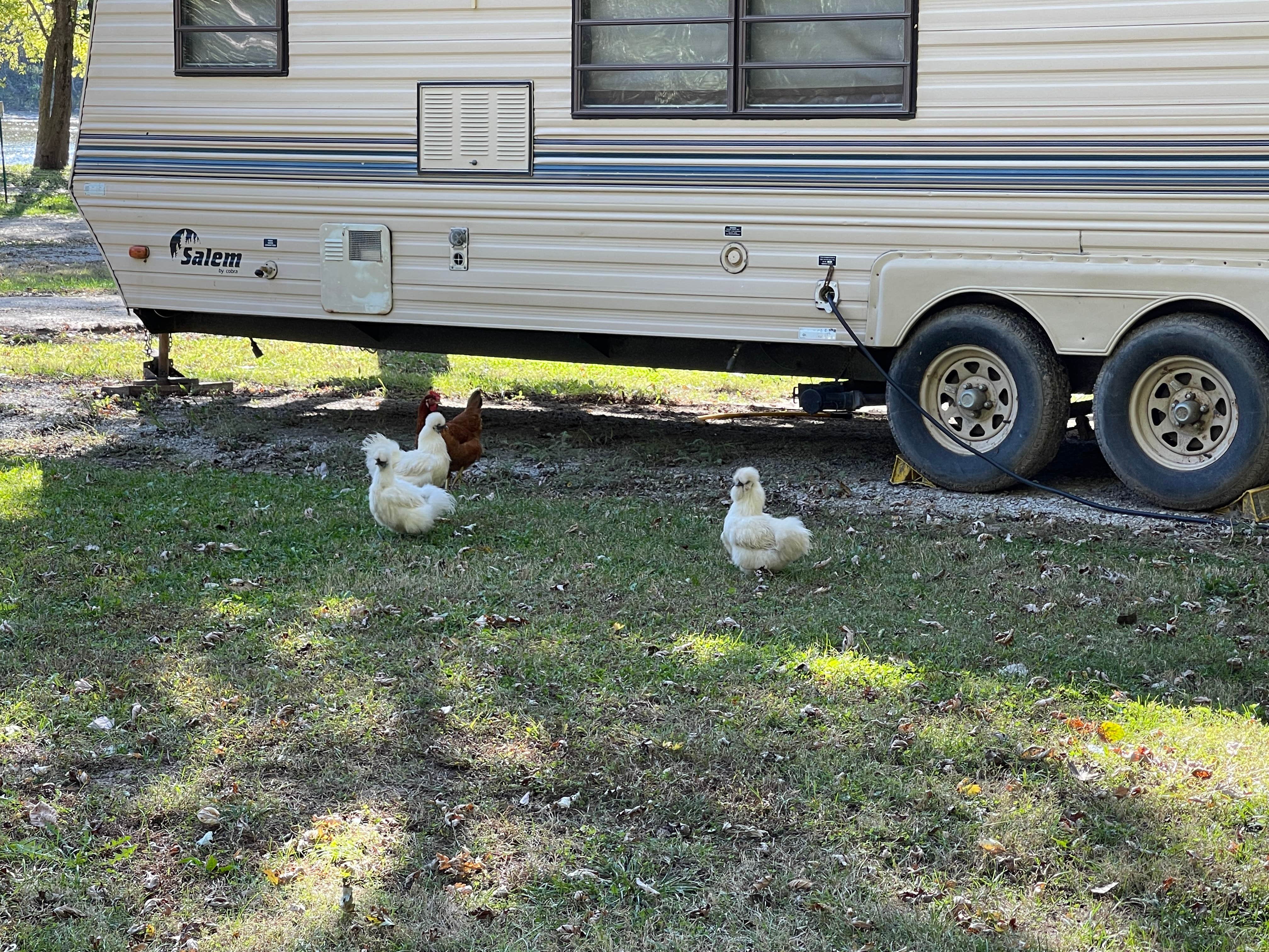 Camping near The Catfish Place Campground: Bentonsport, Keosauqua, Iowa