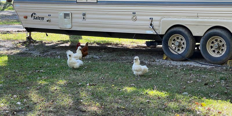 Camper submitted image from Bentonsport