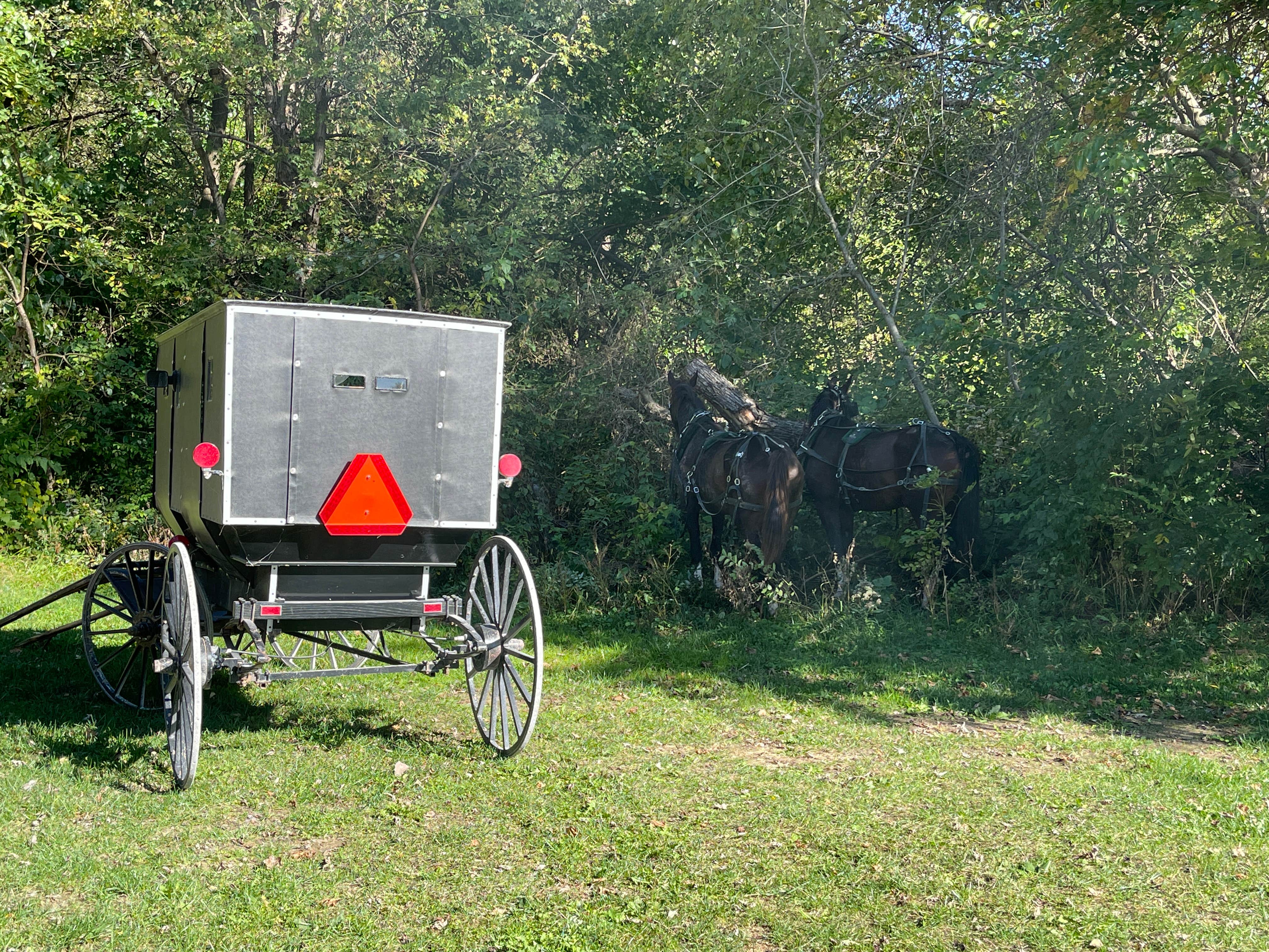Lee D.'s photo of camping with a horse at Bentonsport near Nauvoo, IL