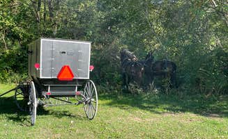 Lee D.'s photo of camping with a horse at Bentonsport near Fort Madison, IA