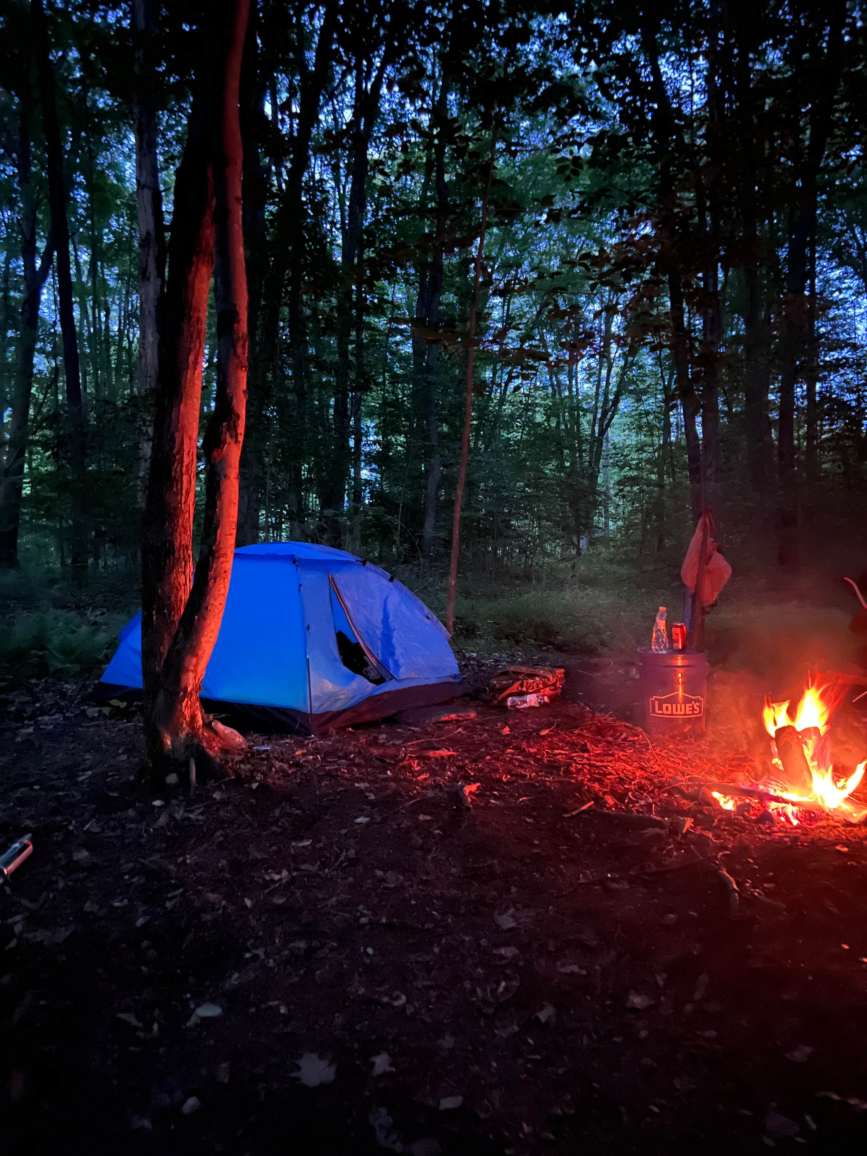 Escape to Shady Acres: Your Massachusetts Camping Paradise