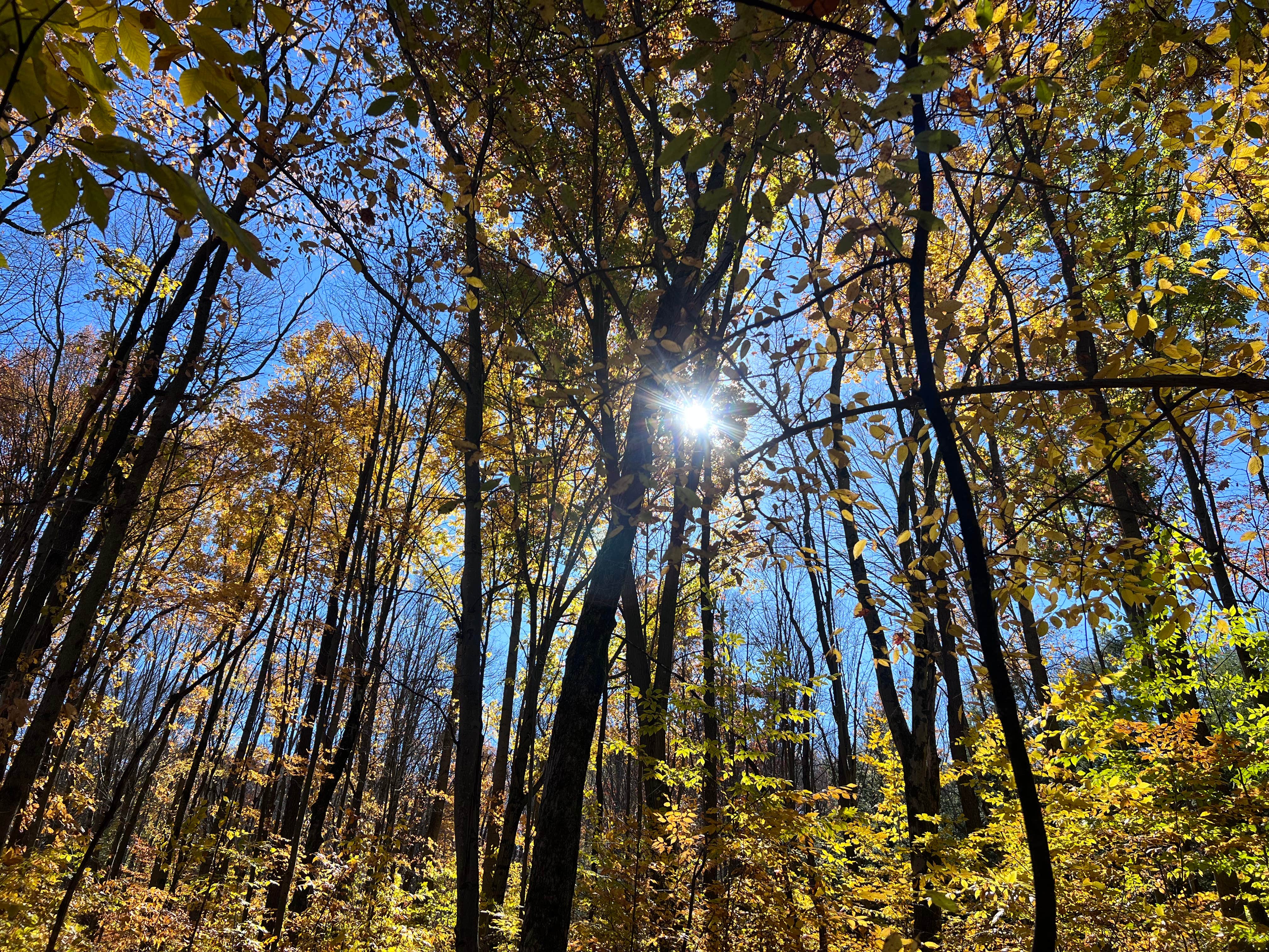 Camper-submitted photo at Shady Acres near Erie, PA