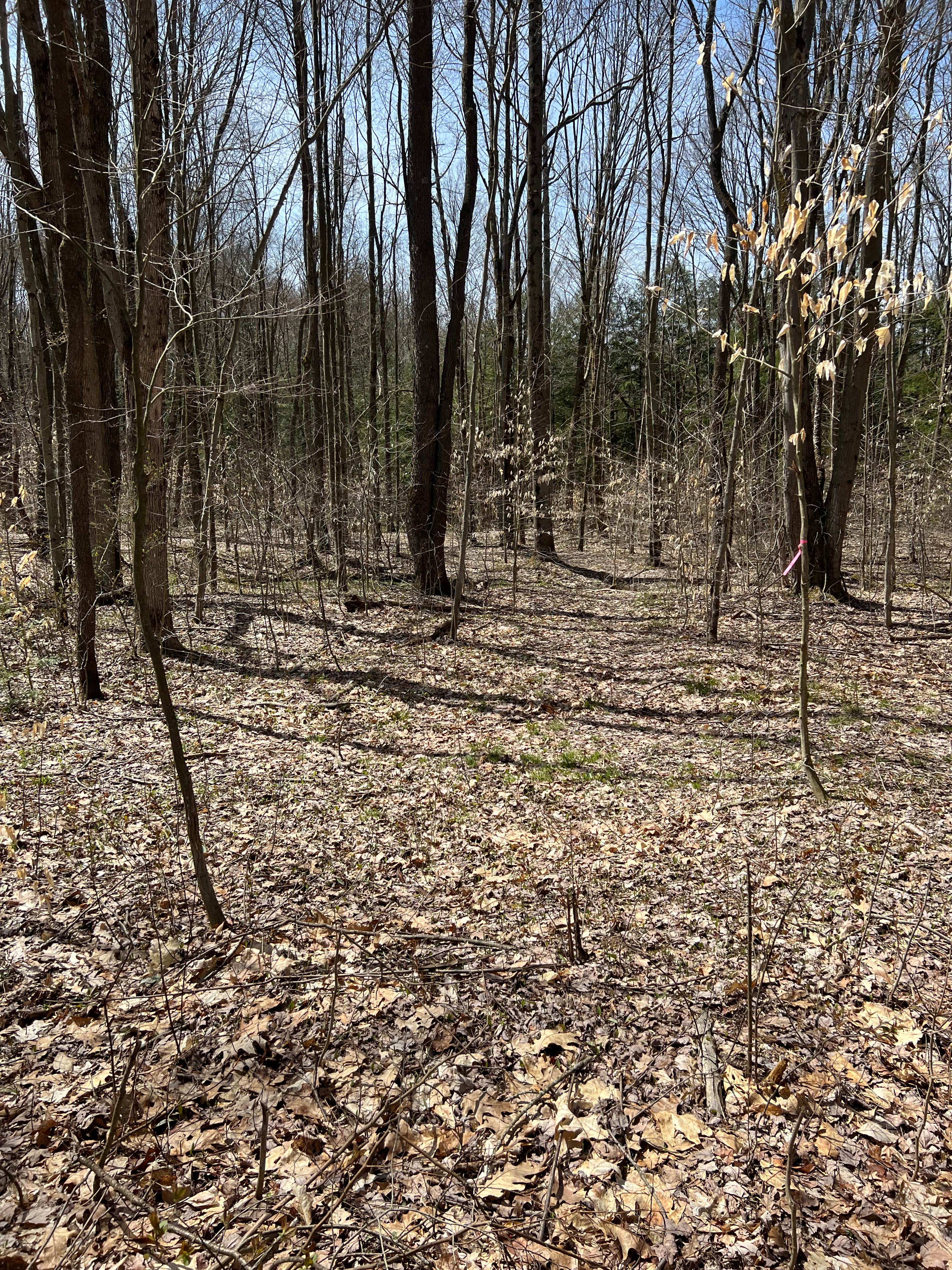 Camper-submitted photo at Shady Acres near Erie, PA