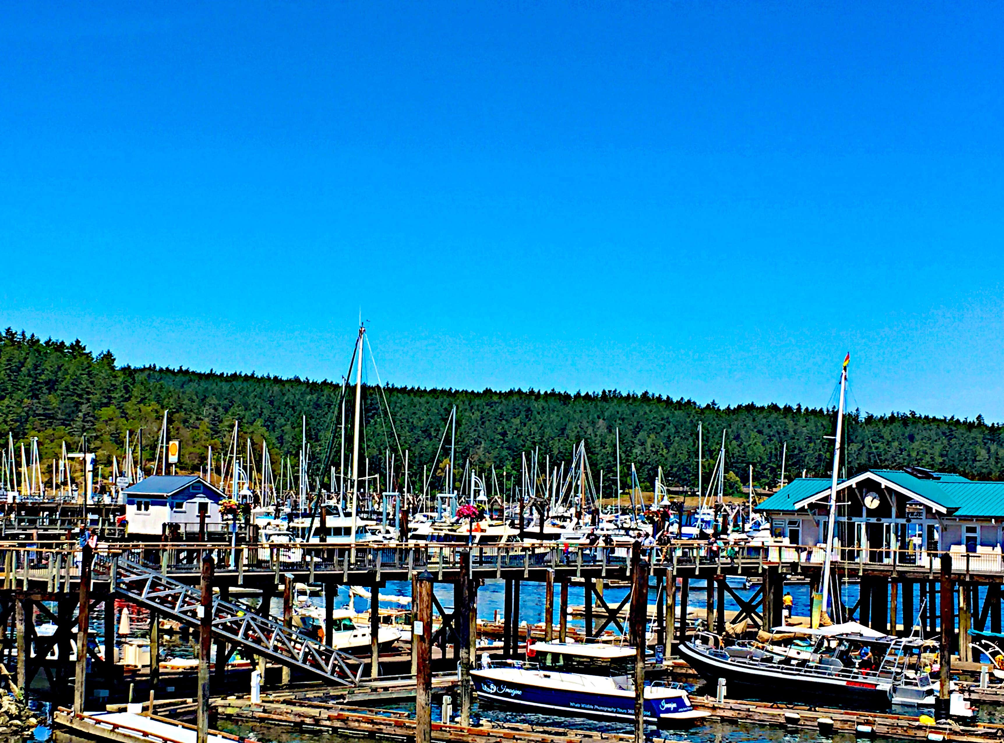 Camper-submitted photo at Bay View State Park Campground near Conway, WA