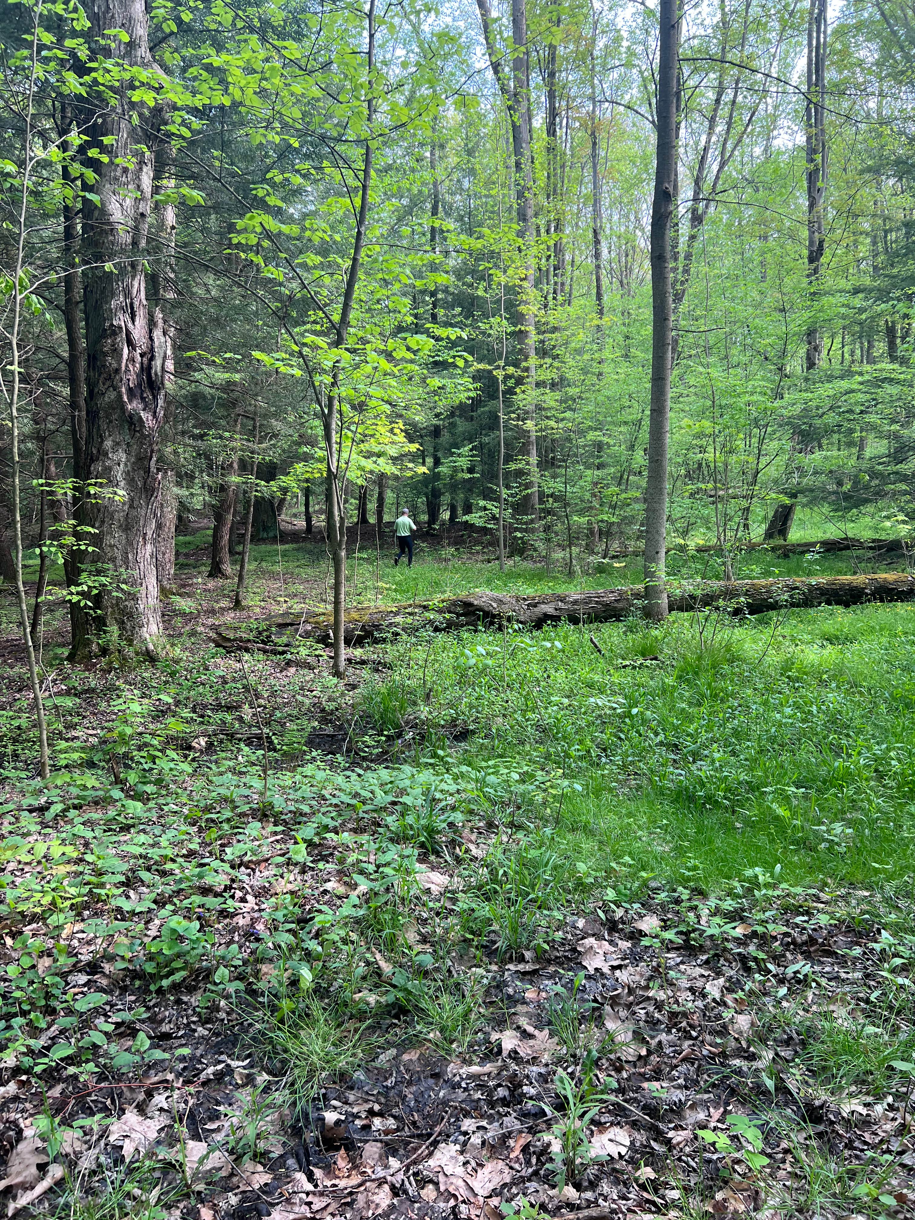 Camper-submitted photo at Shady Acres near Erie, PA