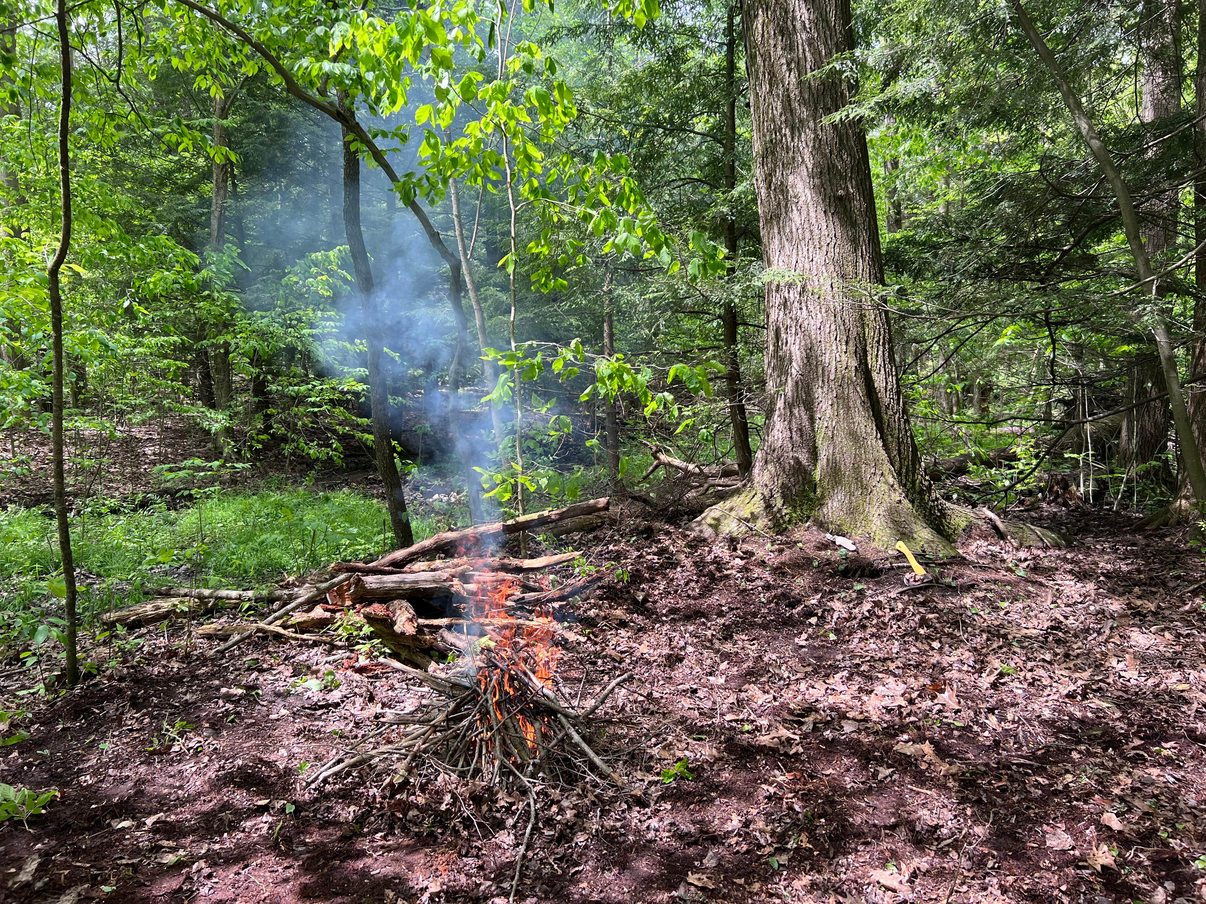 Camper-submitted photo at Shady Acres near Erie, PA