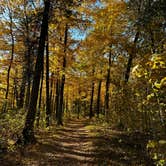 Review photo of North Nicolet Bay - Peninsula State Park by Brady J., October 26, 2022