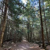 Review photo of North Nicolet Bay - Peninsula State Park by Brady J., October 26, 2022