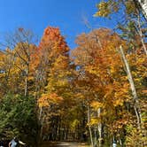 Review photo of North Nicolet Bay - Peninsula State Park by Brady J., October 26, 2022