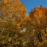 Review photo of North Nicolet Bay Campground — Peninsula State Park by Brady J., October 26, 2022