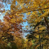 Review photo of North Nicolet Bay - Peninsula State Park by Brady J., October 26, 2022