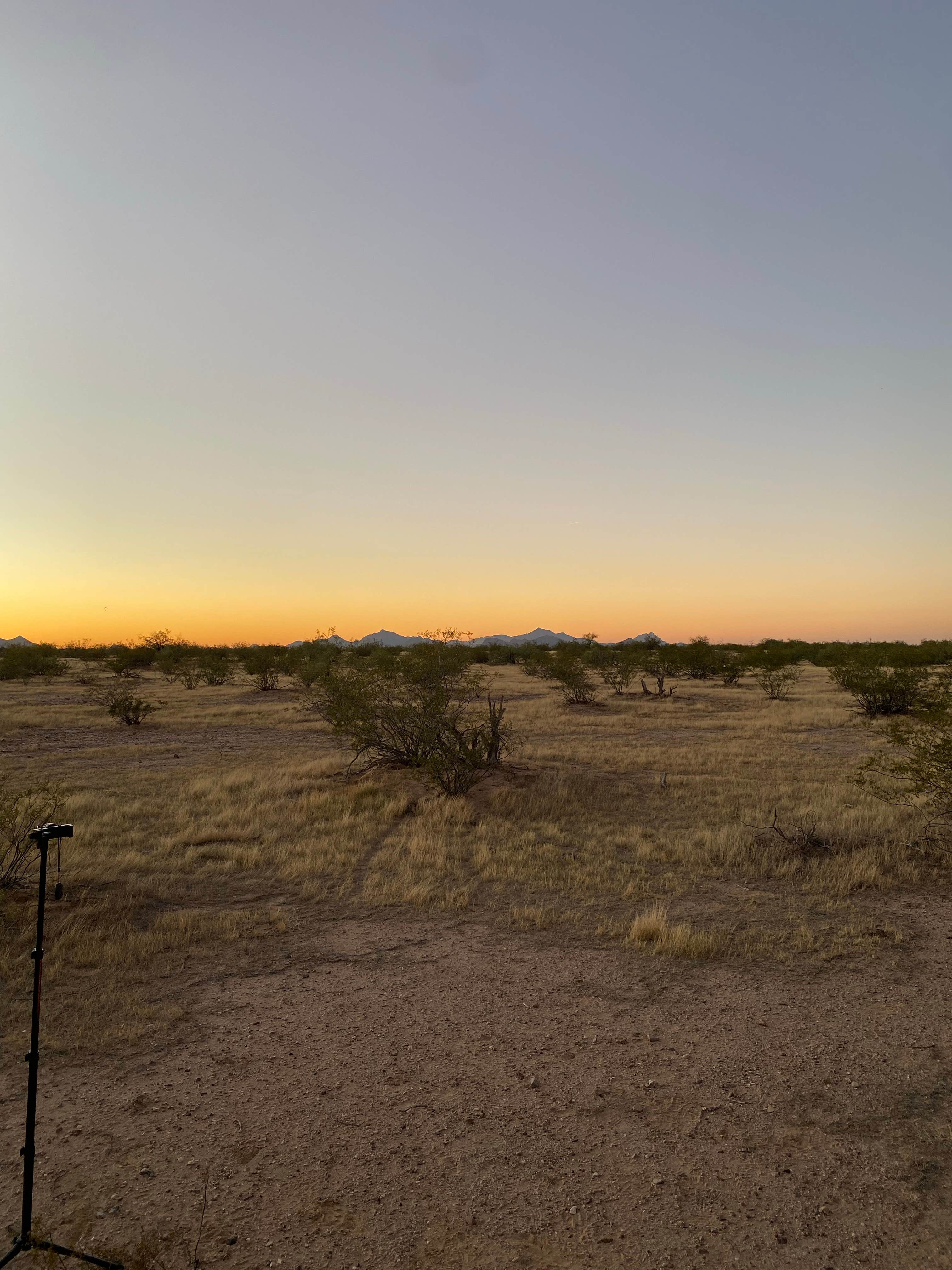 Anthony S.'s photo of a dispersed camping area at BLM Ironwood Forest National Monument - Reservation Road Dispersed Camping near Cortaro, AZ