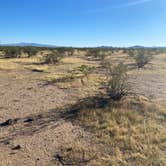 Review photo of BLM Ironwood Forest National Monument - Reservation Road Dispersed Camping by Anthony S., October 26, 2022