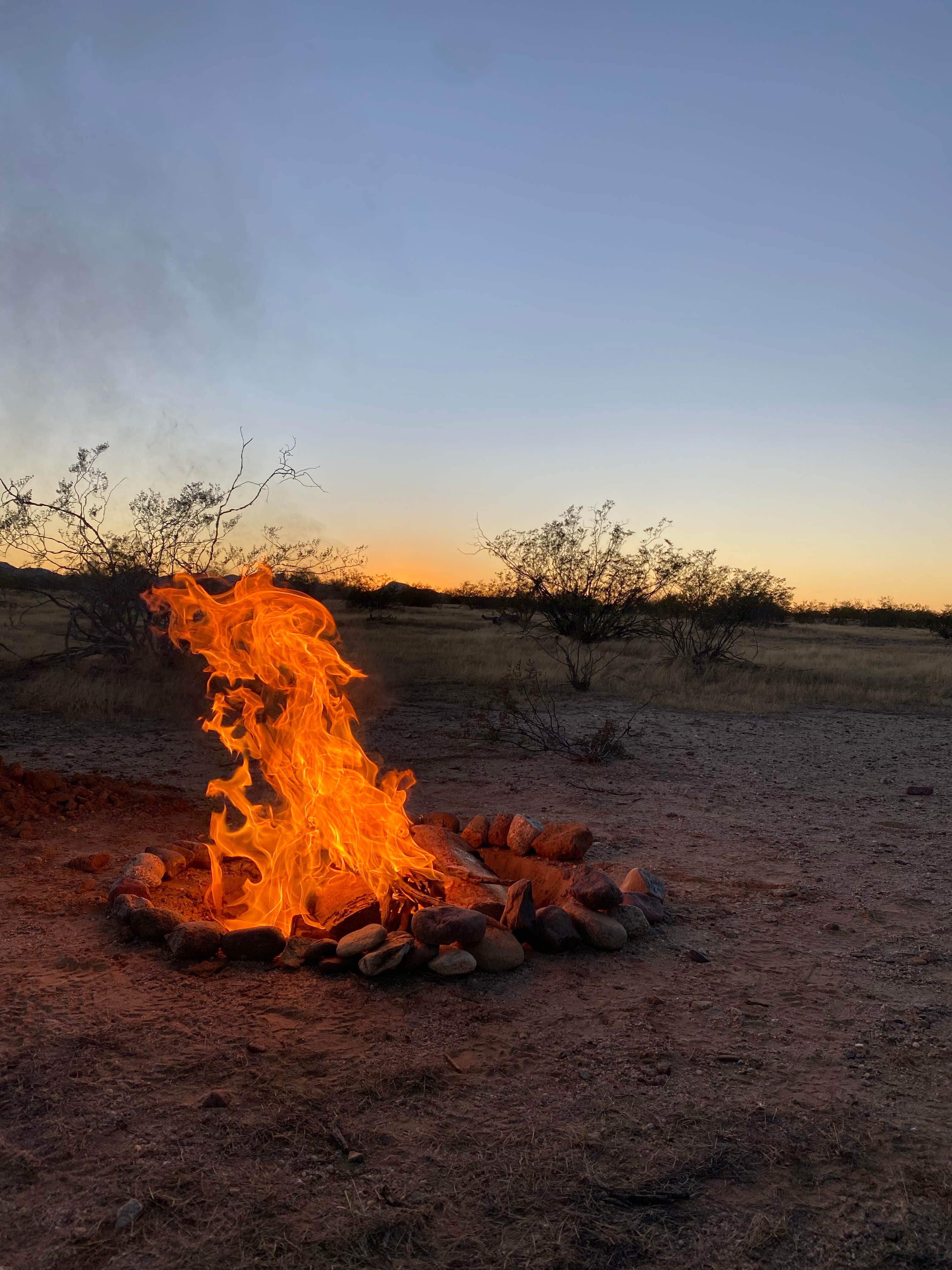 Camper-submitted photo at BLM Ironwood Forest National Monument - Reservation Road Dispersed Camping near Tucson, AZ