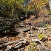 Review photo of Desoto Falls Recreation Area by Justin S., October 26, 2022