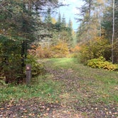 Review photo of East Bearskin Lake Campground by Scott M., October 26, 2022