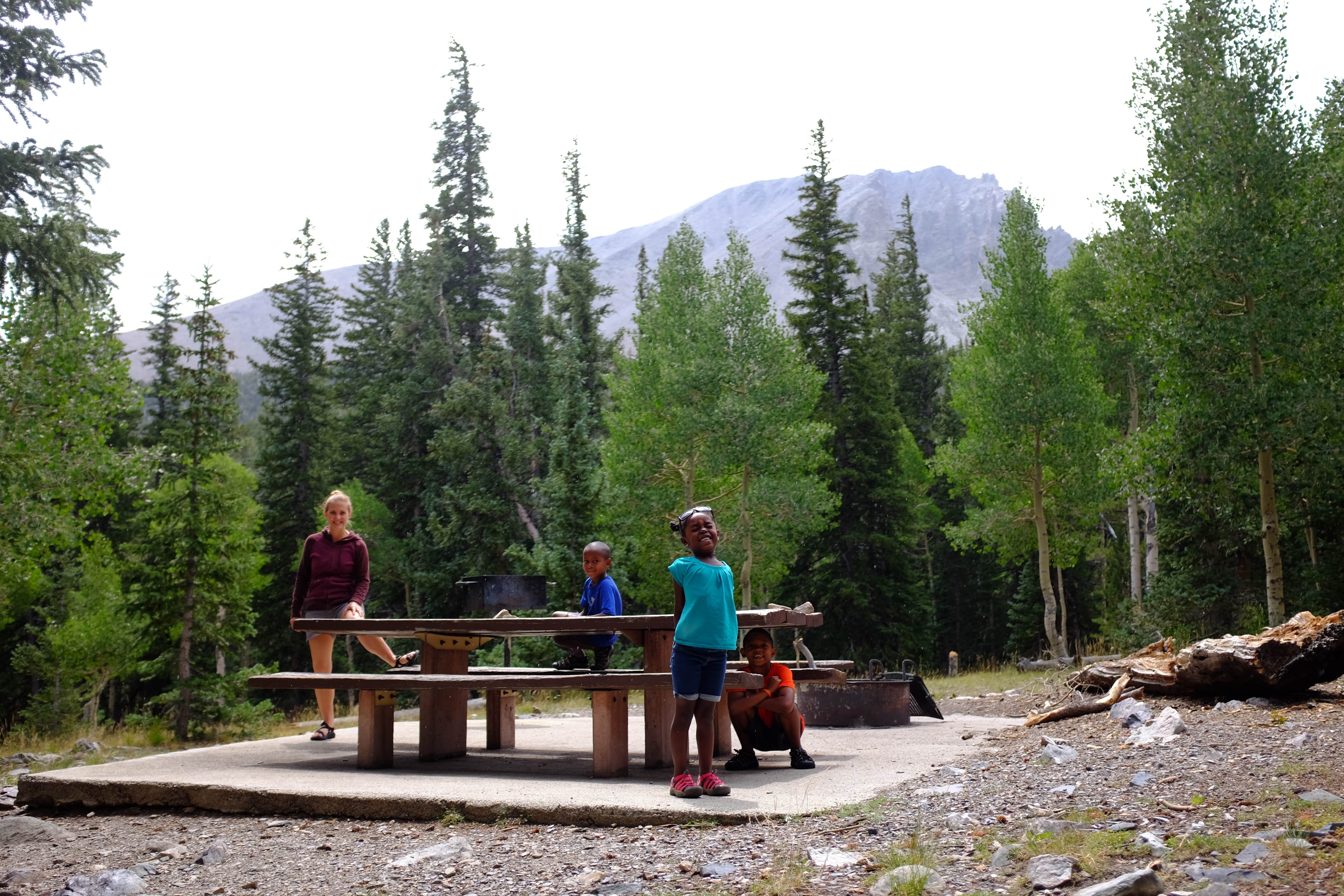 Camper-submitted photo at Wheeler Peak Campground — Great Basin National Park near Baker, NV
