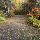 Review photo of Flour Lake Campground by Scott M., October 26, 2022