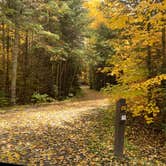 Review photo of Flour Lake Campground by Scott M., October 26, 2022