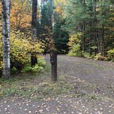 Review photo of Flour Lake Campground by Scott M., October 26, 2022