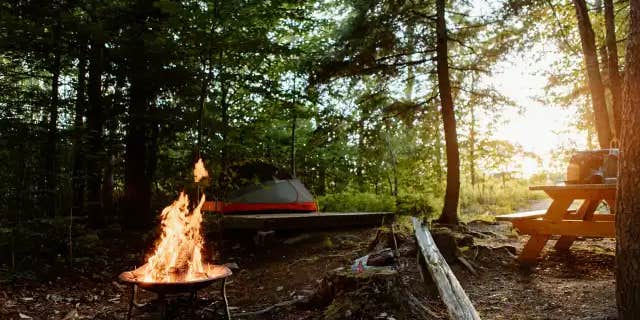 Camper submitted image from Howling Goat Farm and Grange