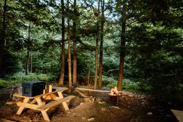 Camper-submitted photo at Howling Goat Farm and Grange near Pittsfield, ME