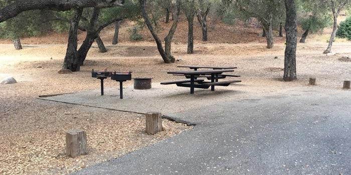 Camper submitted image from Oneil Creek - TEMPORARILY CLOSED